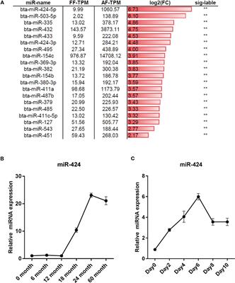 miR-424 Promotes Bovine Adipogenesis Through an Unconventional Post-Transcriptional Regulation of STK11